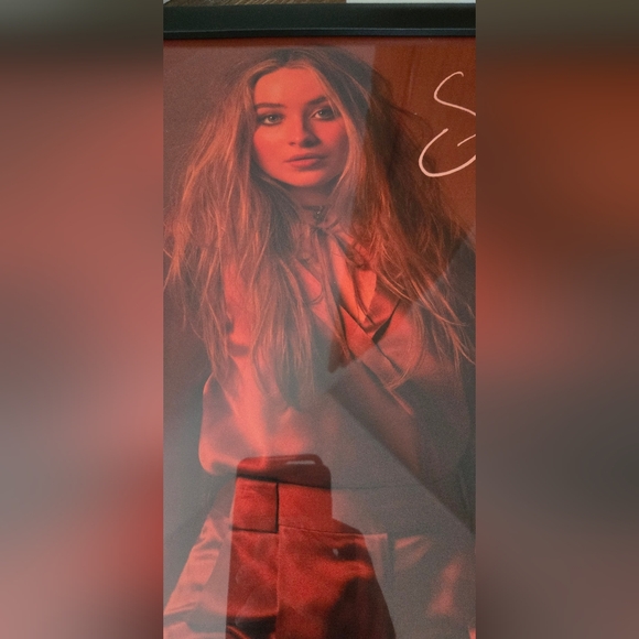 Sabrina Carpenter Evolution Poster ~20x14 - Picture 3 of 8